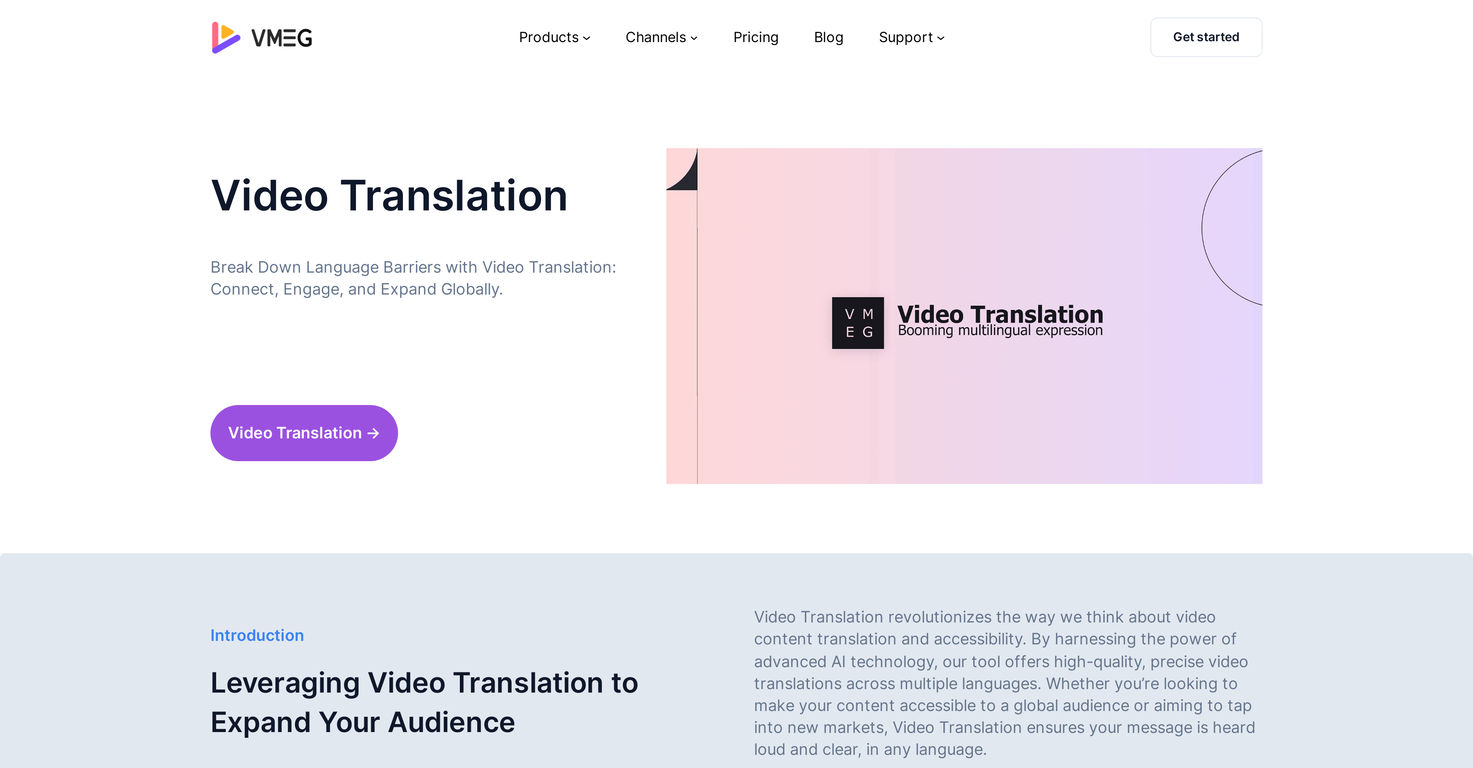 VMEG Video Translation preview