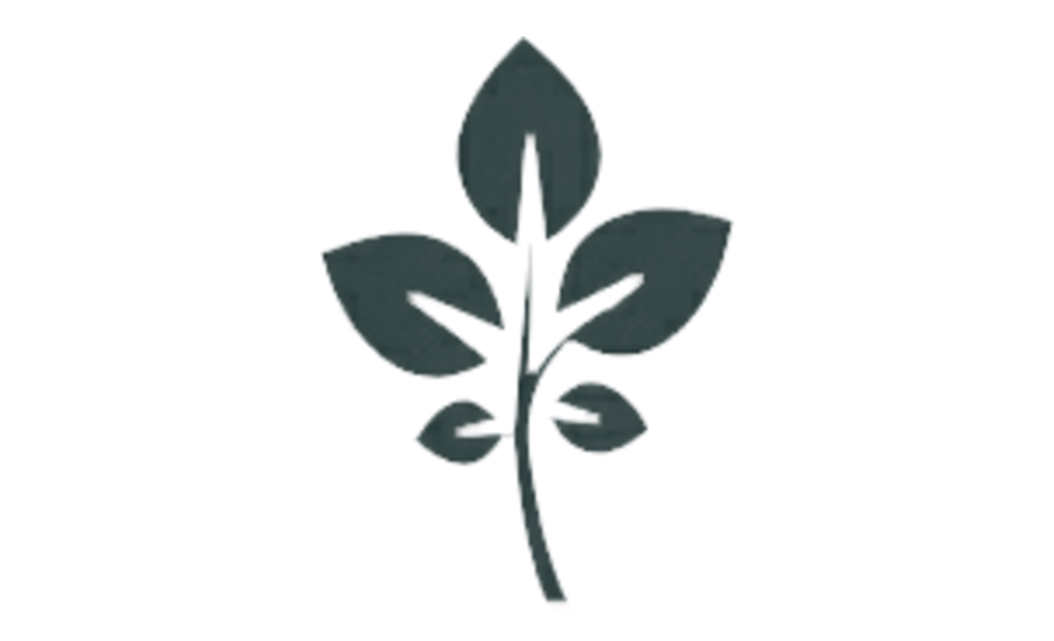 GrapeVine Social preview