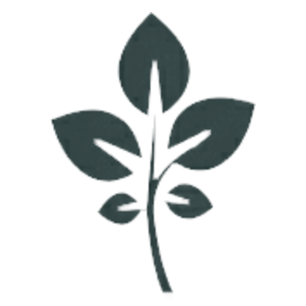 GrapeVine Social icon
